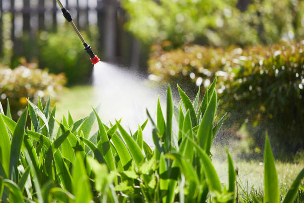 24/7 Emergency Mosquito Control experts in Arlington, MN